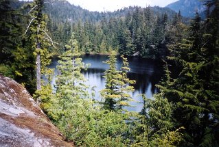 Petgill Lake 2004-05.